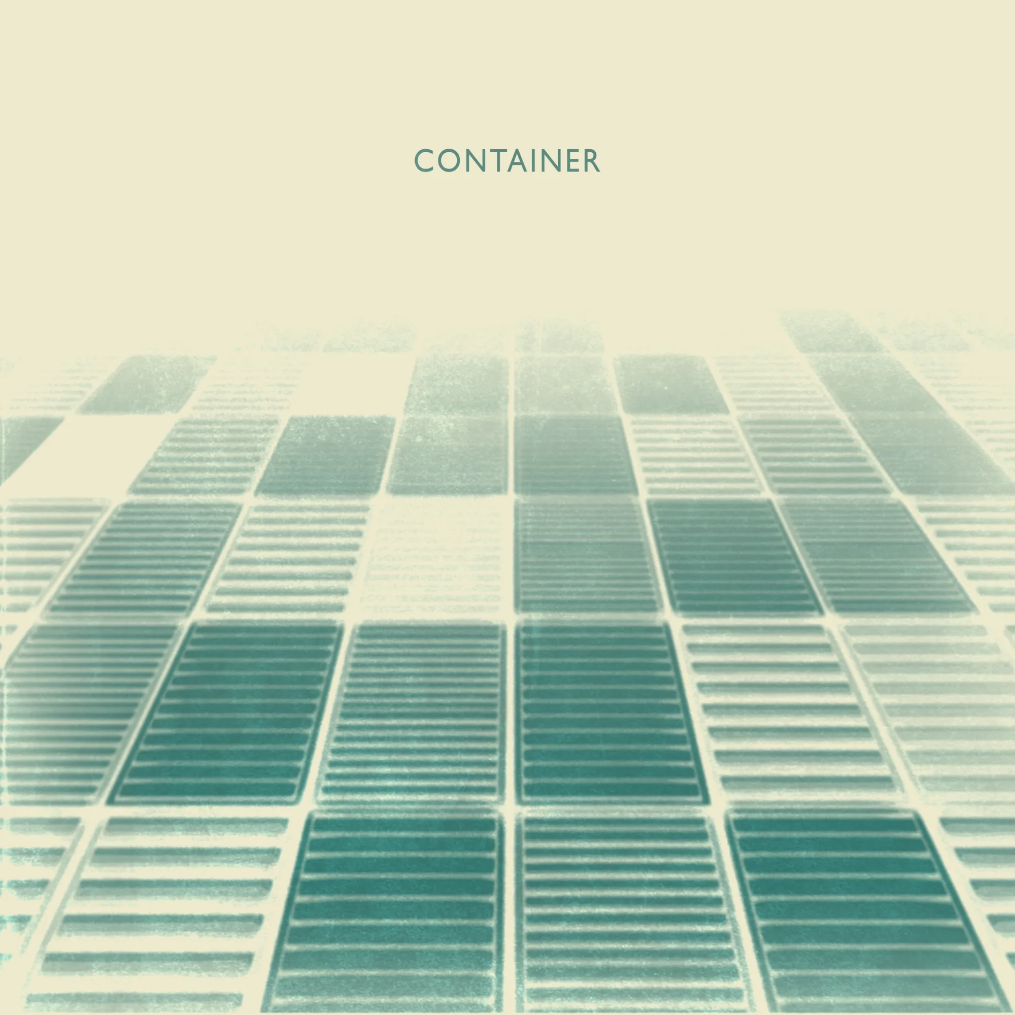 Container — Excelentes Nadadores
